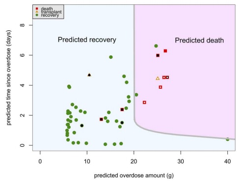Acetaminophen Overdose Model