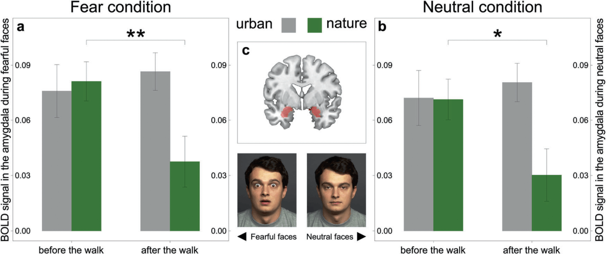 nature effect on stress