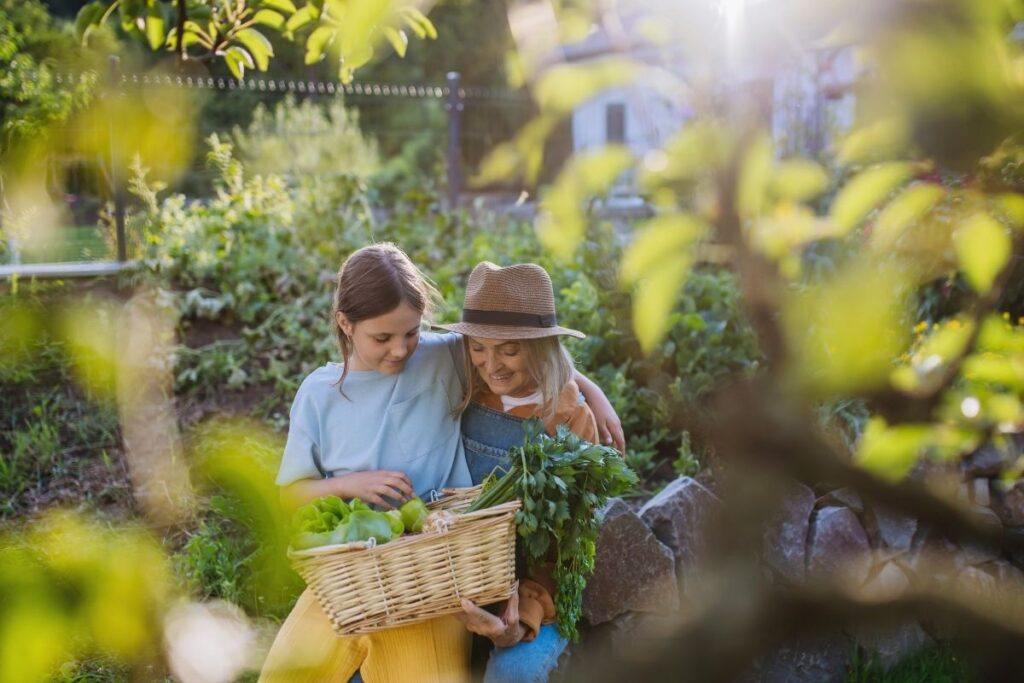 Family history & genetics